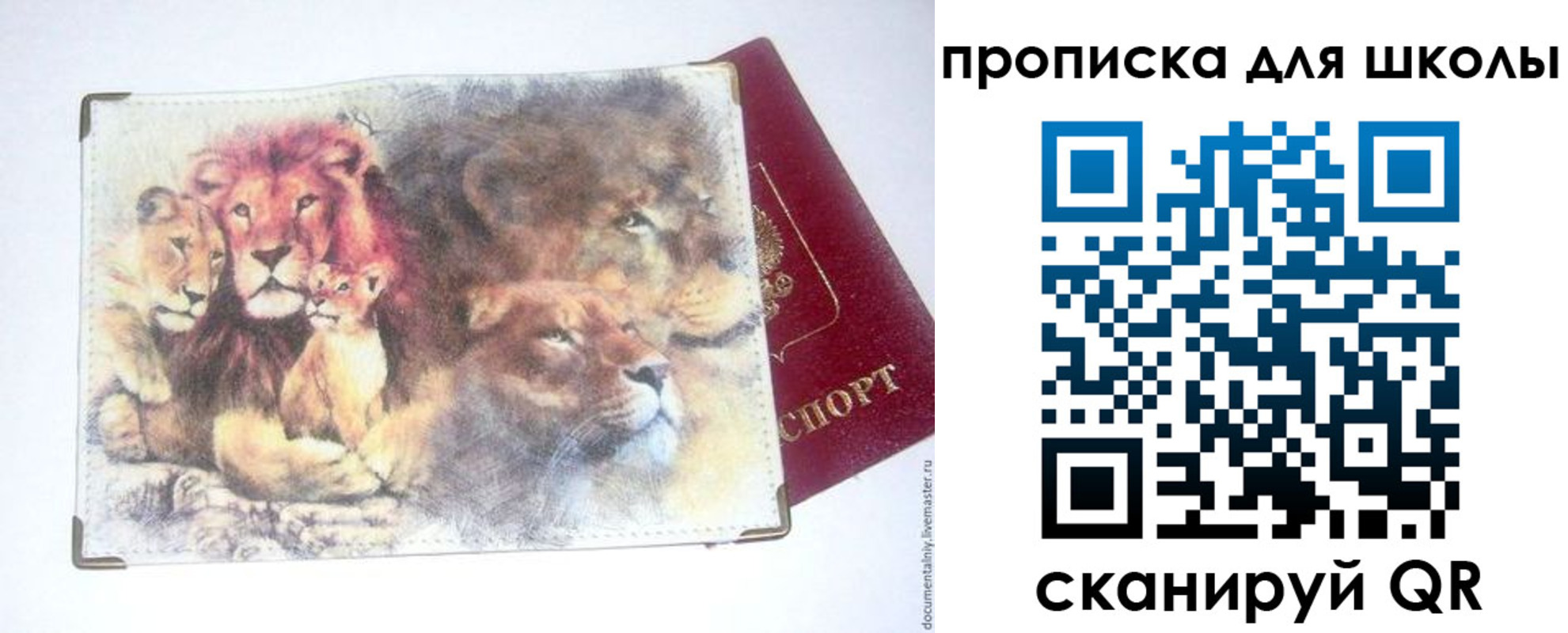 временная регистрация гарантия в Райчихинске